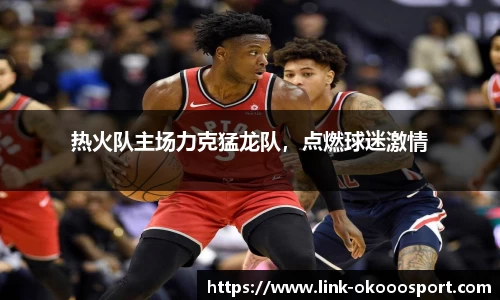 热火队主场力克猛龙队，点燃球迷激情