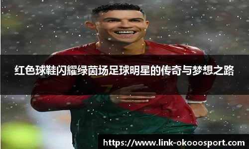 okooo澳客网官网